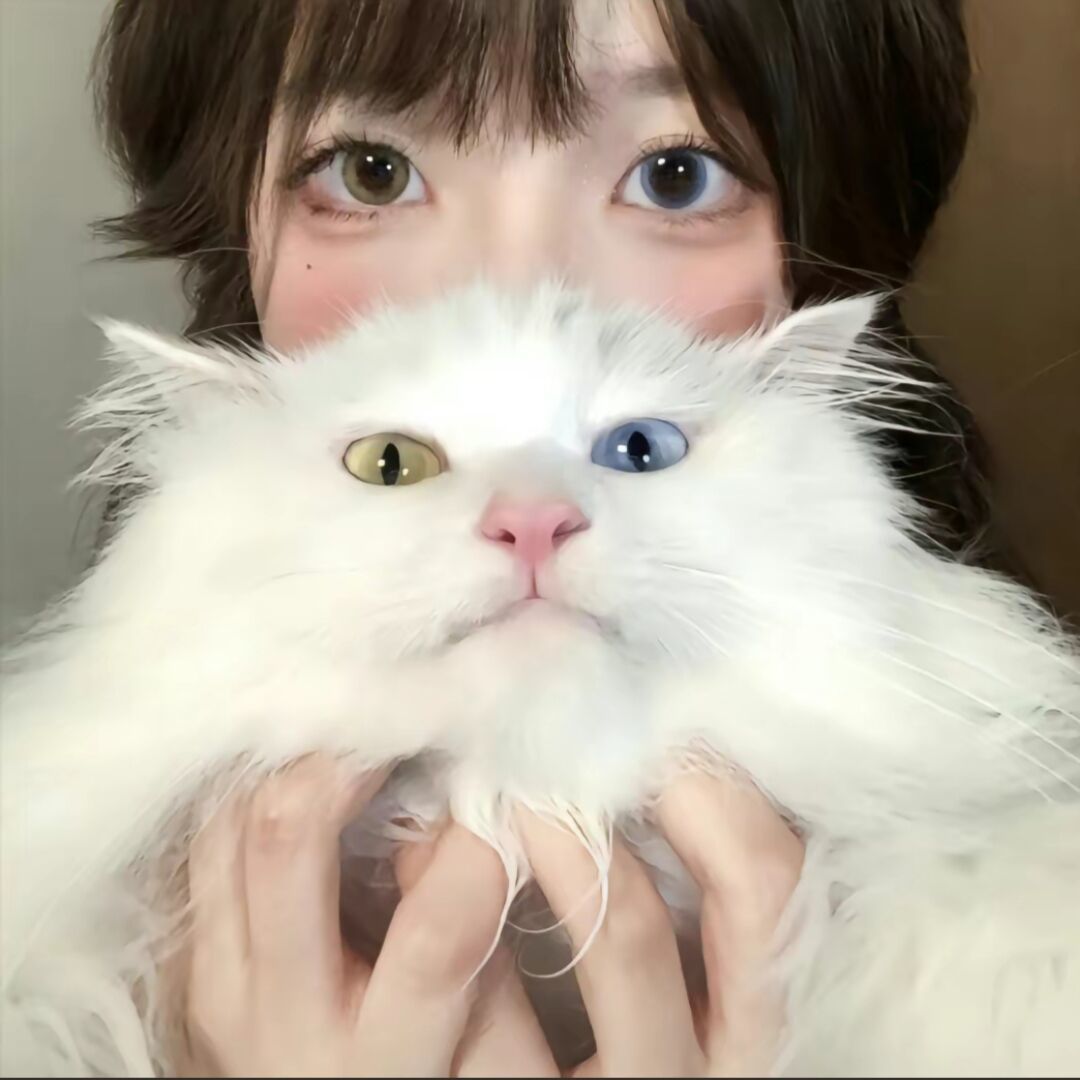 用户头像