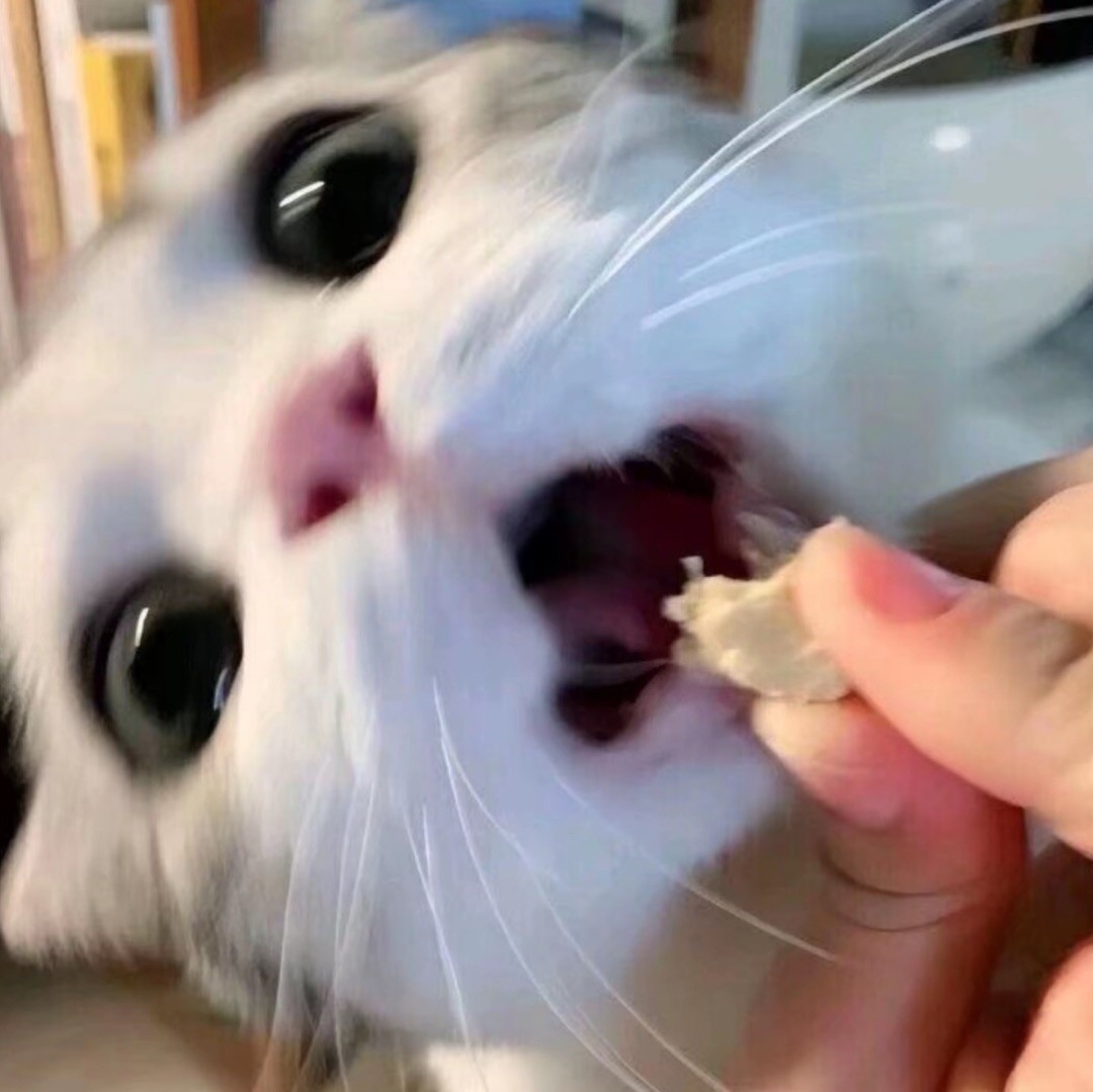 qq_瑶瑶41