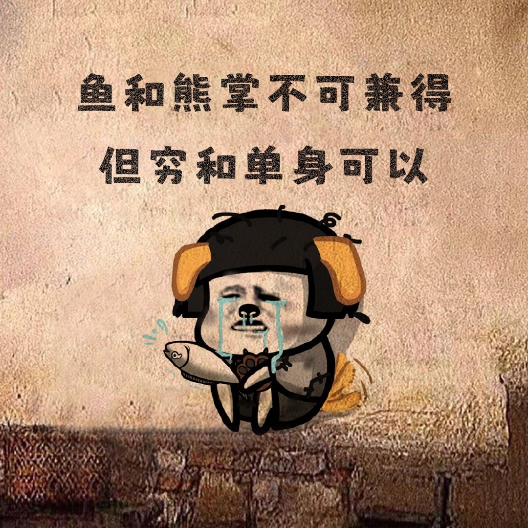 用户头像