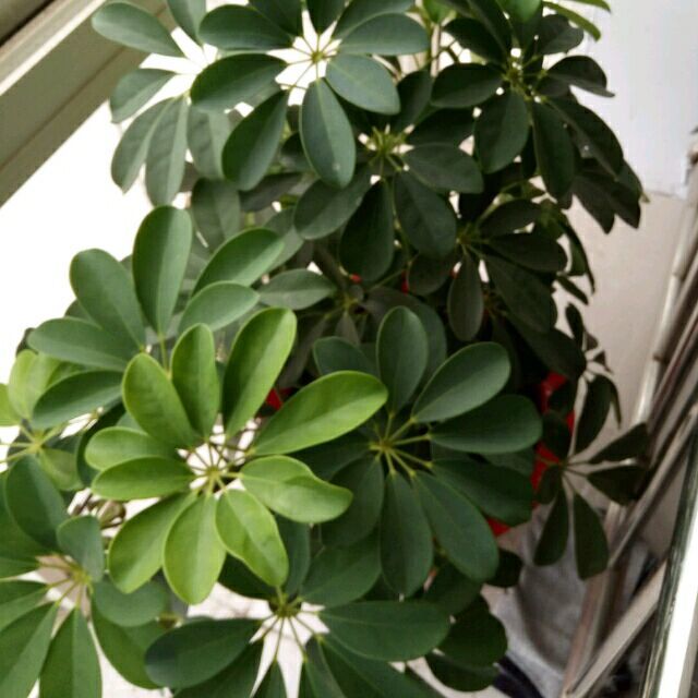 qq_北极熊的梦想35