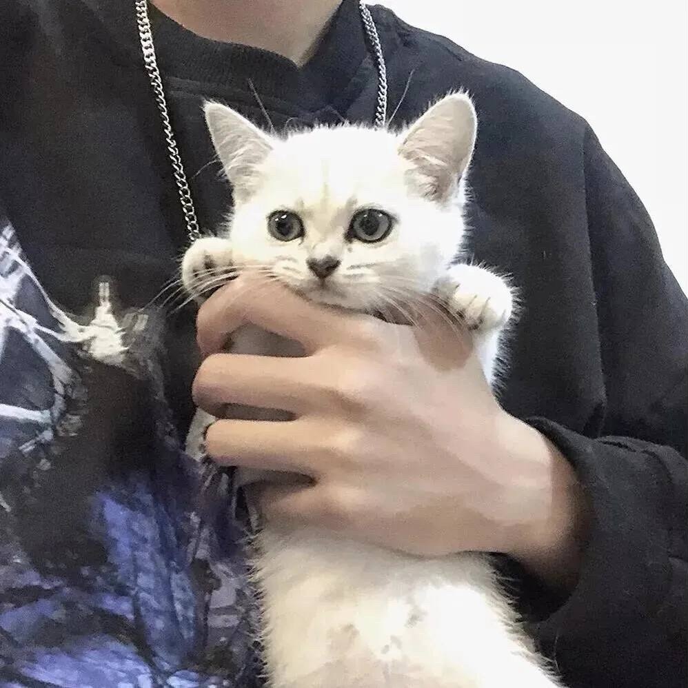 qq_归期94