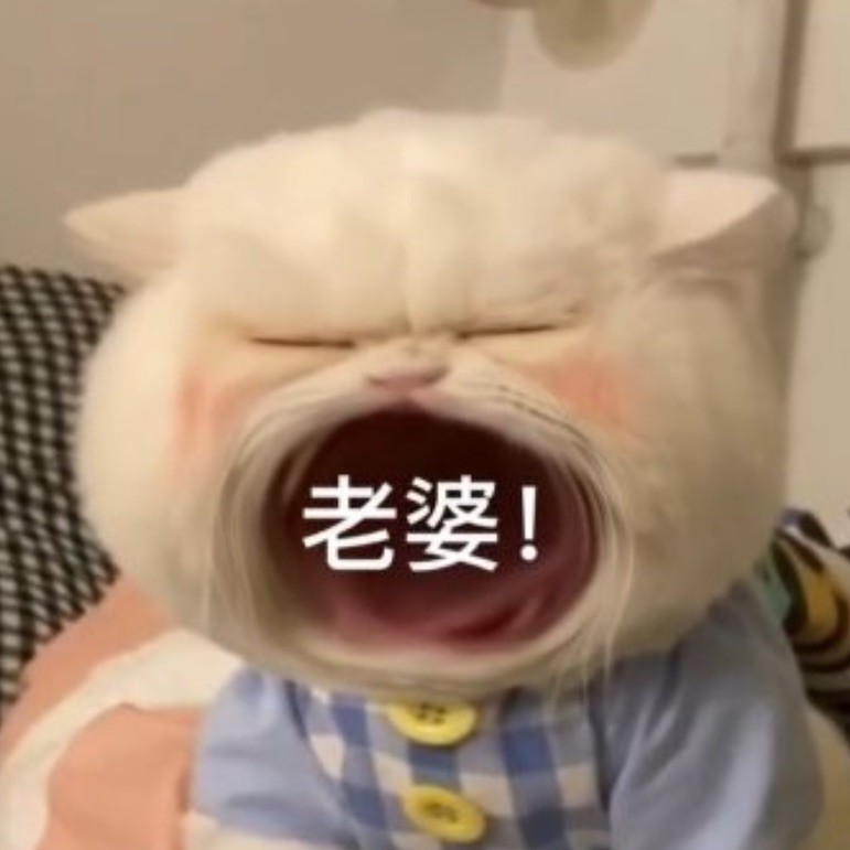 qq_北卡呗95
