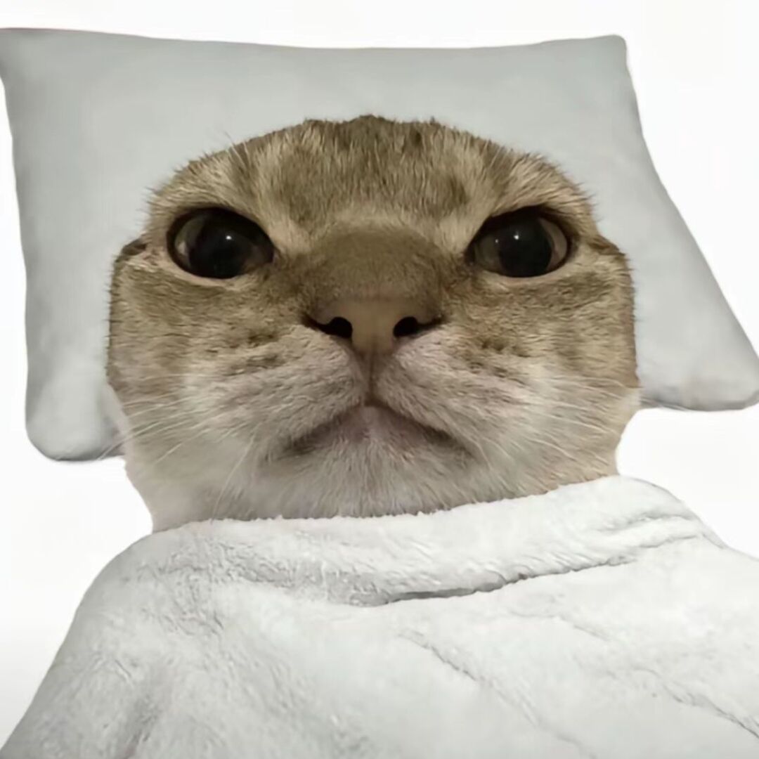 qq_
