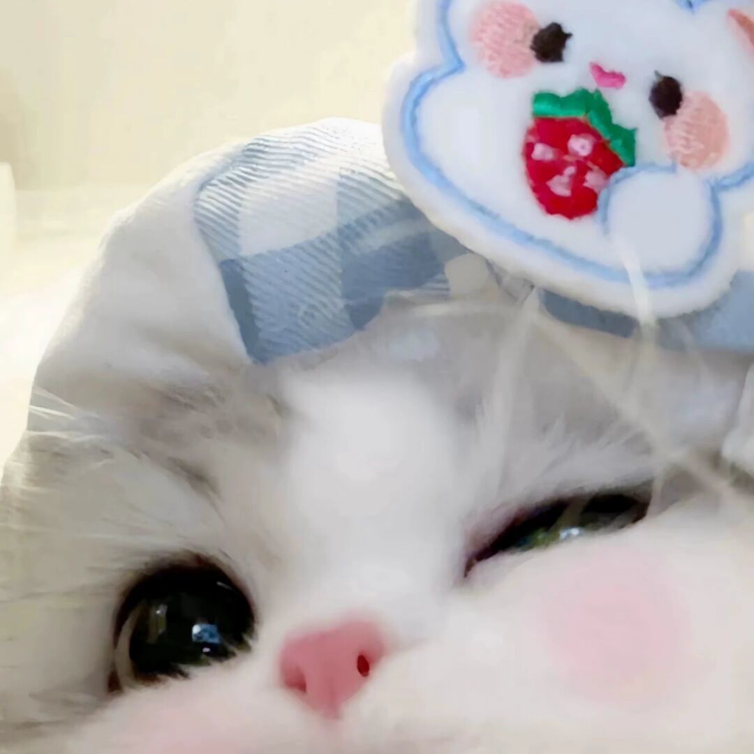 qq_๑24