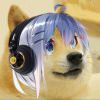 Sanddog-【TITAIKE】T太科网