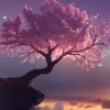 隐鱼琪-【TITAIKE】T太科网