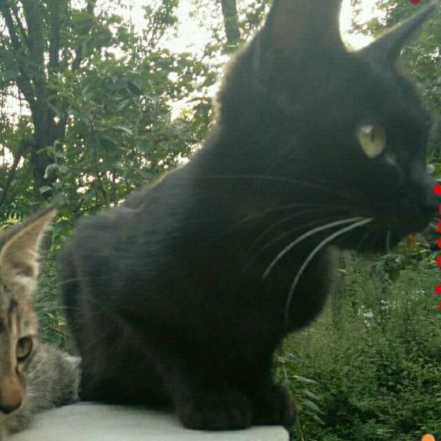 qq_紅.尘.仙.13