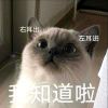 沐子冷落-【TITAIKE】T太科网