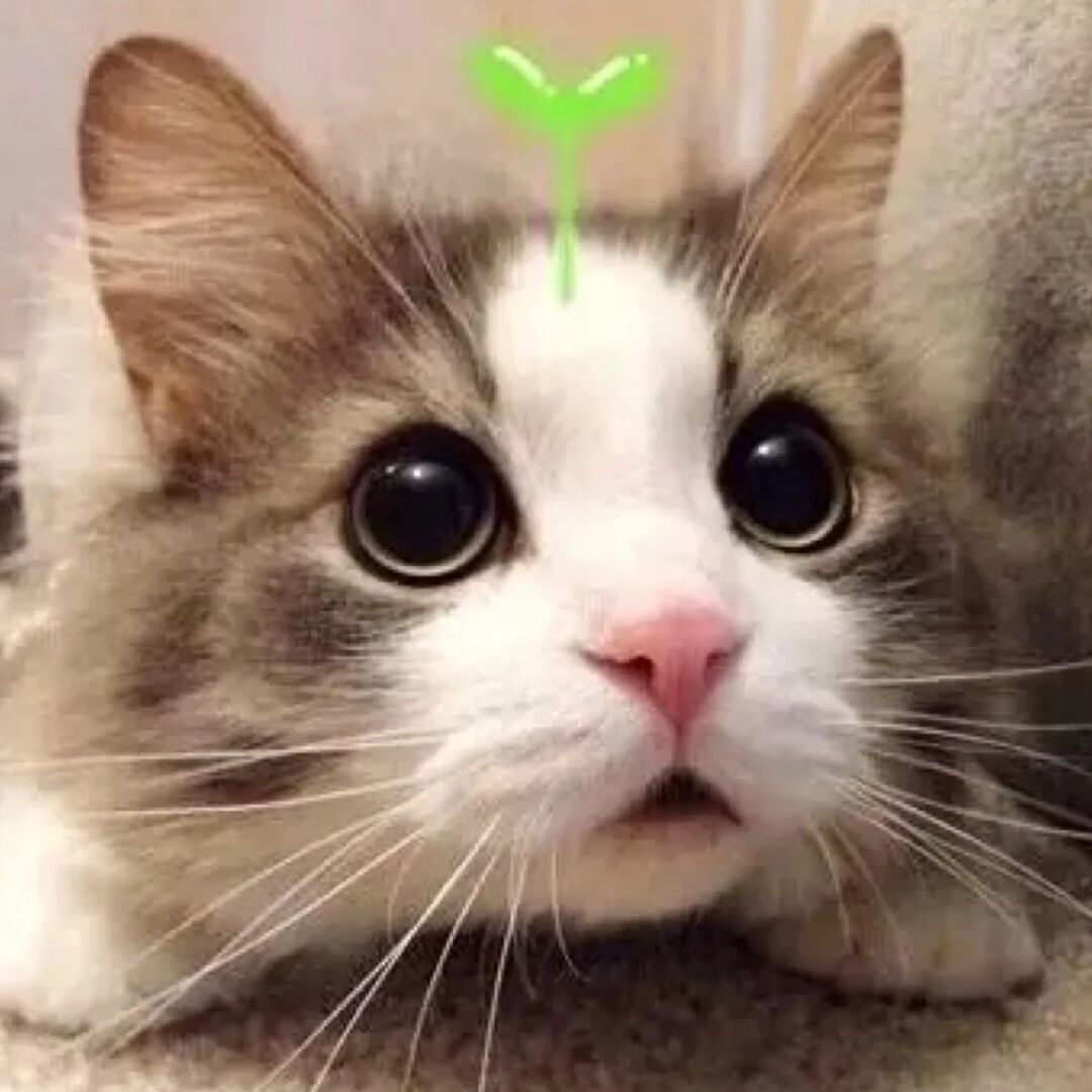 qq_ㅤ82