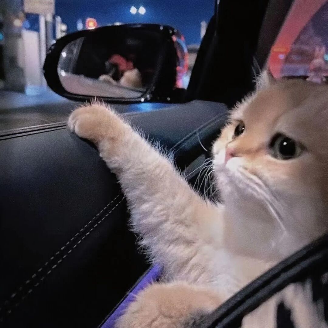 qq_.92