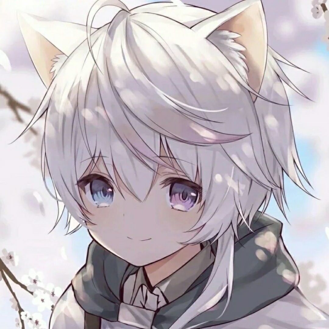 qq_浅羽游空12