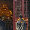 Á效颦-风行者社区