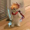 ∮№￡|蜜壶屋