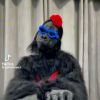 雪人-济南壹软网络科技