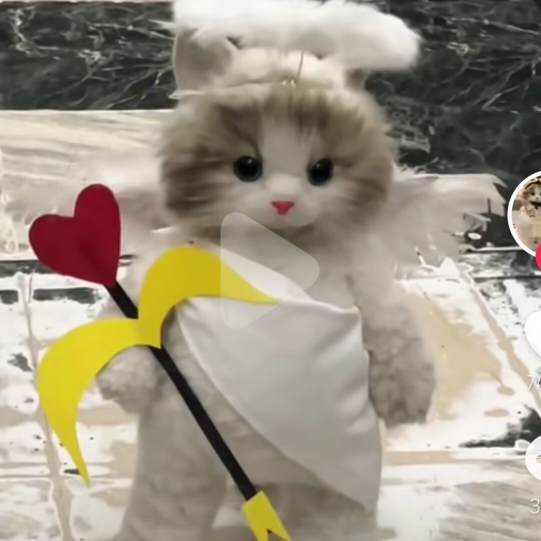 qq_吾以往之不谏55