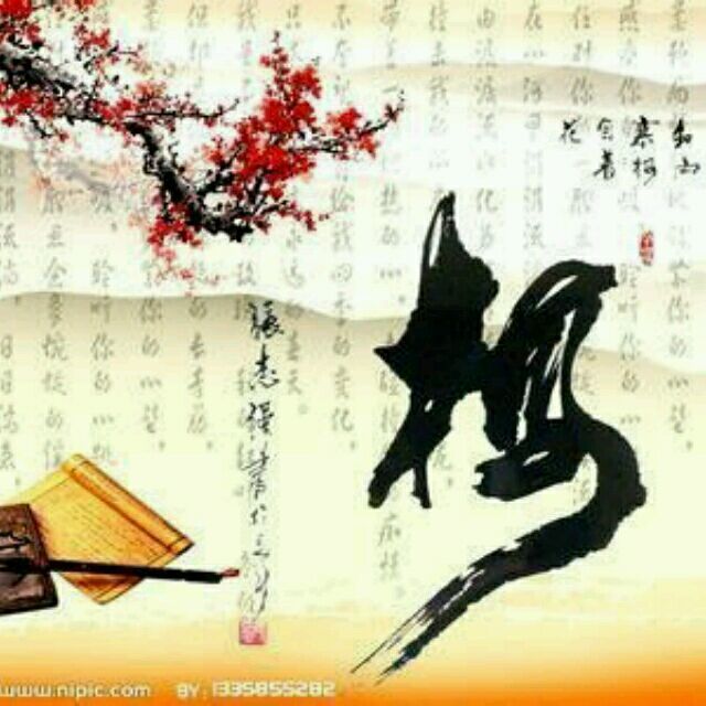qq_腊梅59