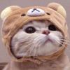云雾泽行-【TITAIKE】T太科网