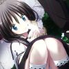 azazazaz10018-【TITAIKE】T太科网