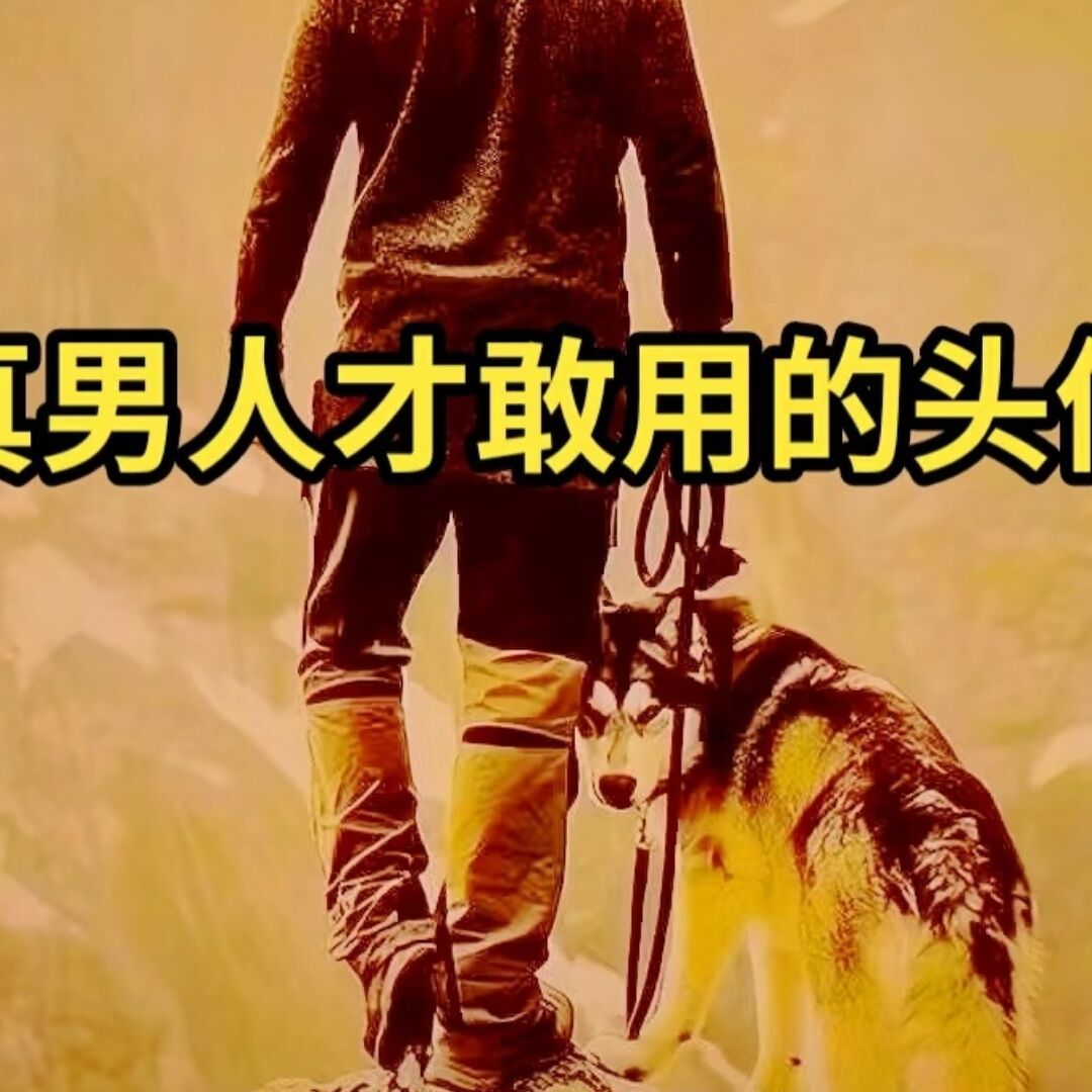 qq_战狼61