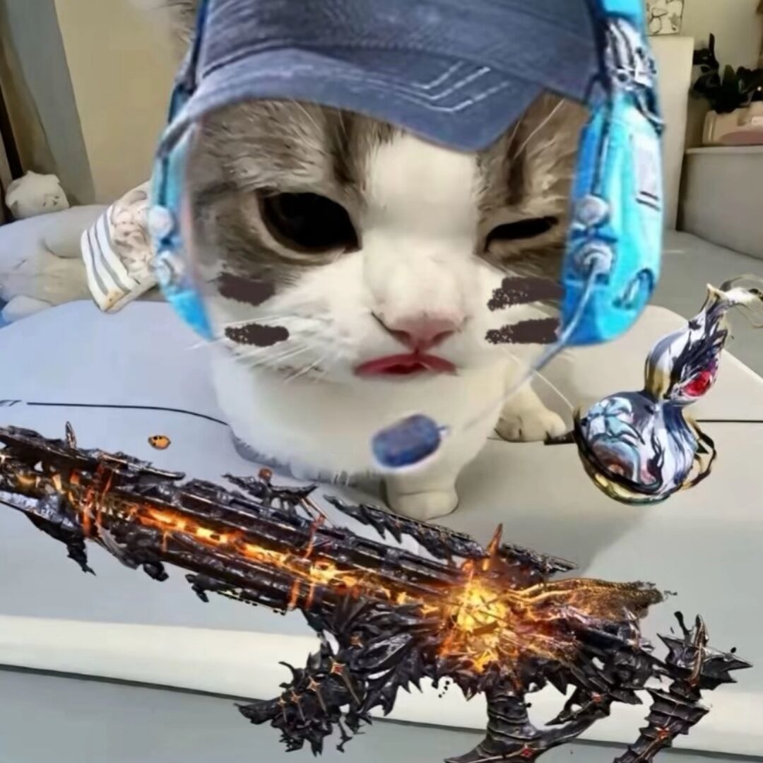 qq_Z58