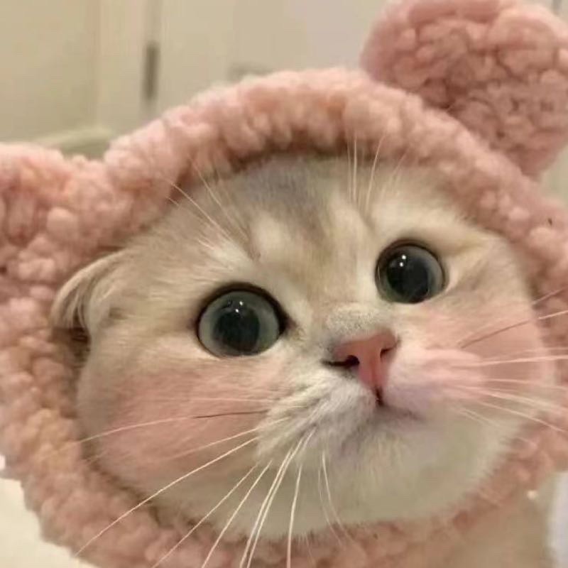 qq_寧15