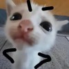 车慧怡-【TITAIKE】T太科网