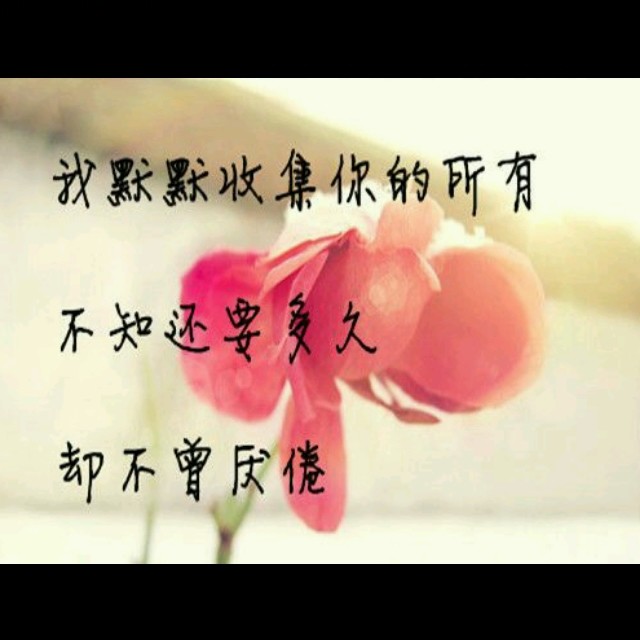qq_㊣37