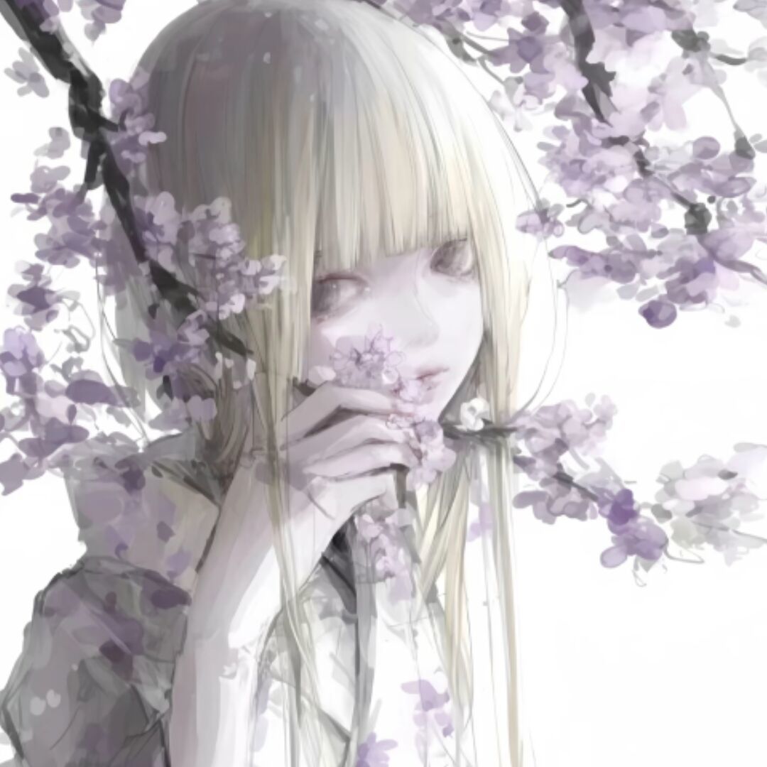 qq_妃20
