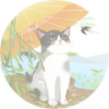 焕汝-【TITAIKE】T太科网