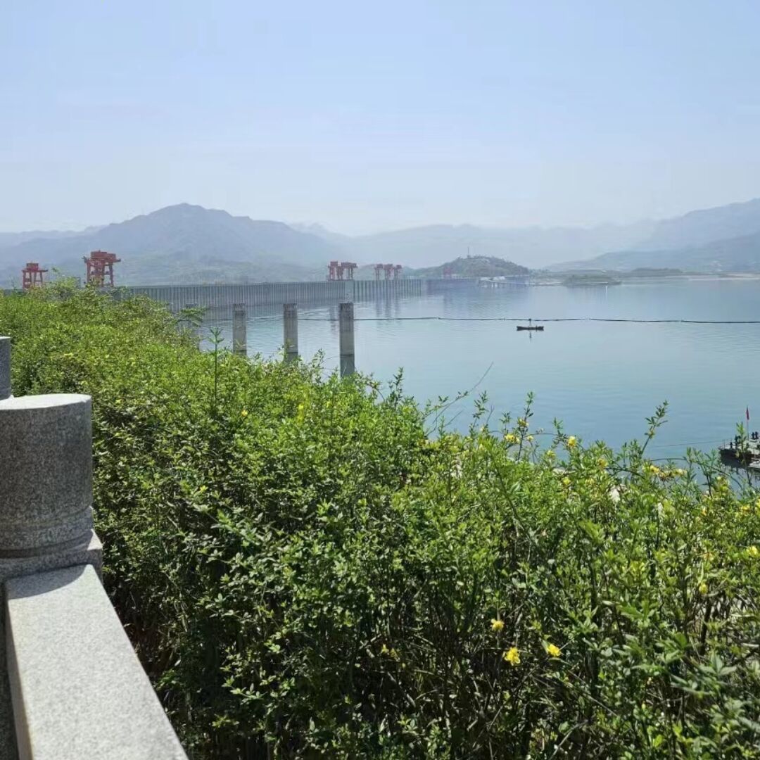 qq_问 路51