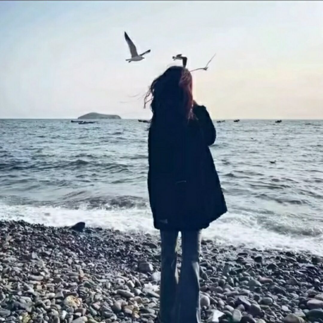 qq_^禹兮相伴.^98