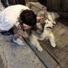 q878601564-KK音频资源网