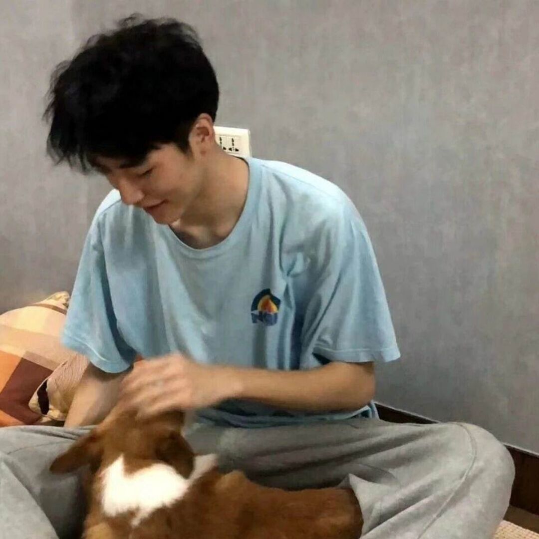 qq_阳光总在风雨后   追风46