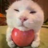funny0v0-【TITAIKE】T太科网
