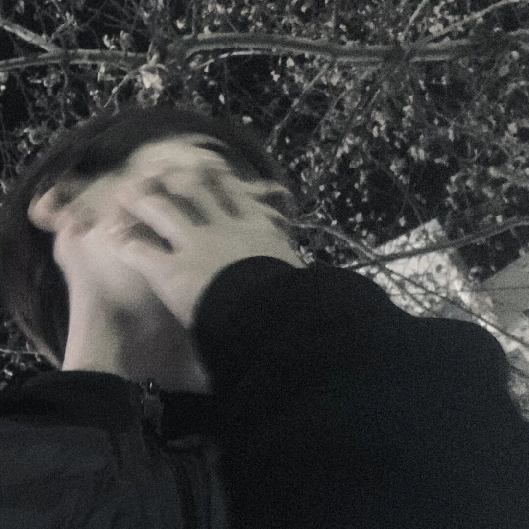 qq_乌59
