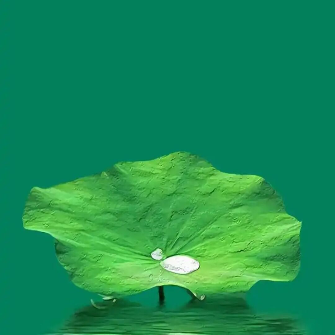 qq_深情70