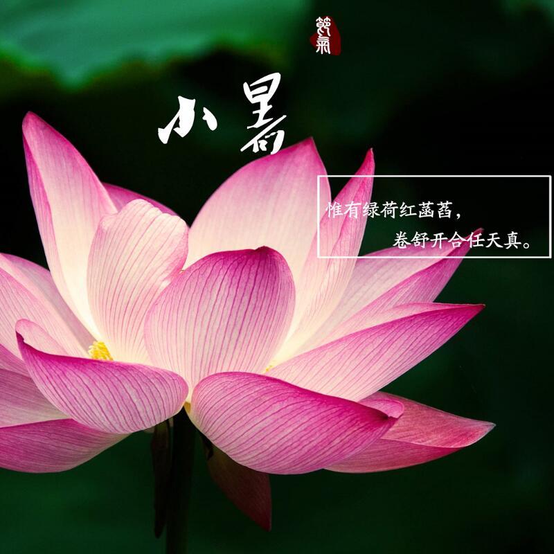 qq_xjy37