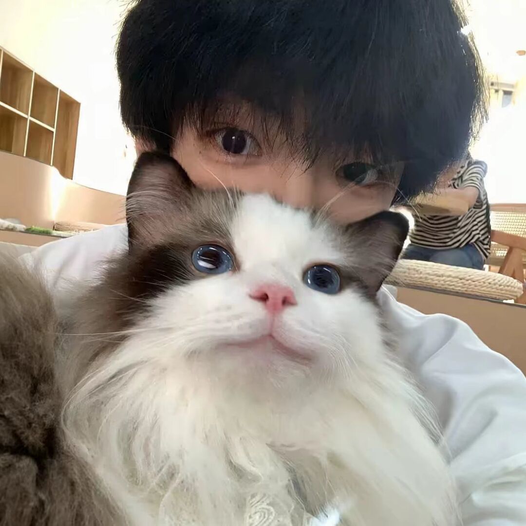 qq_K77