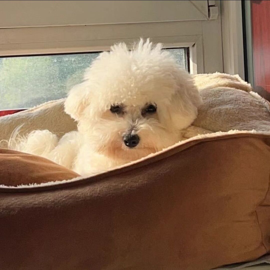 宫 商 角 徵 羽  亖