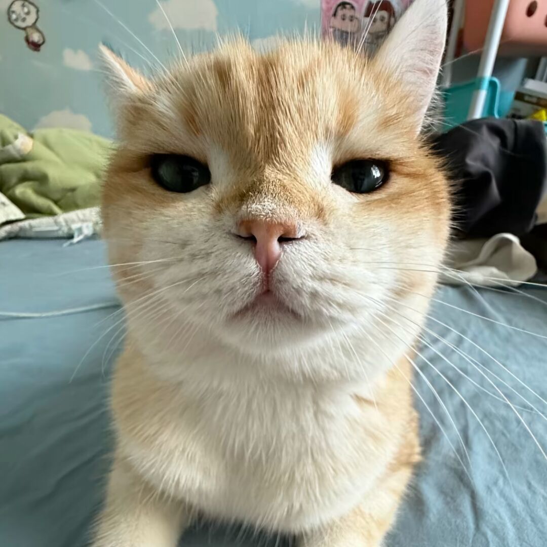 qq_x58