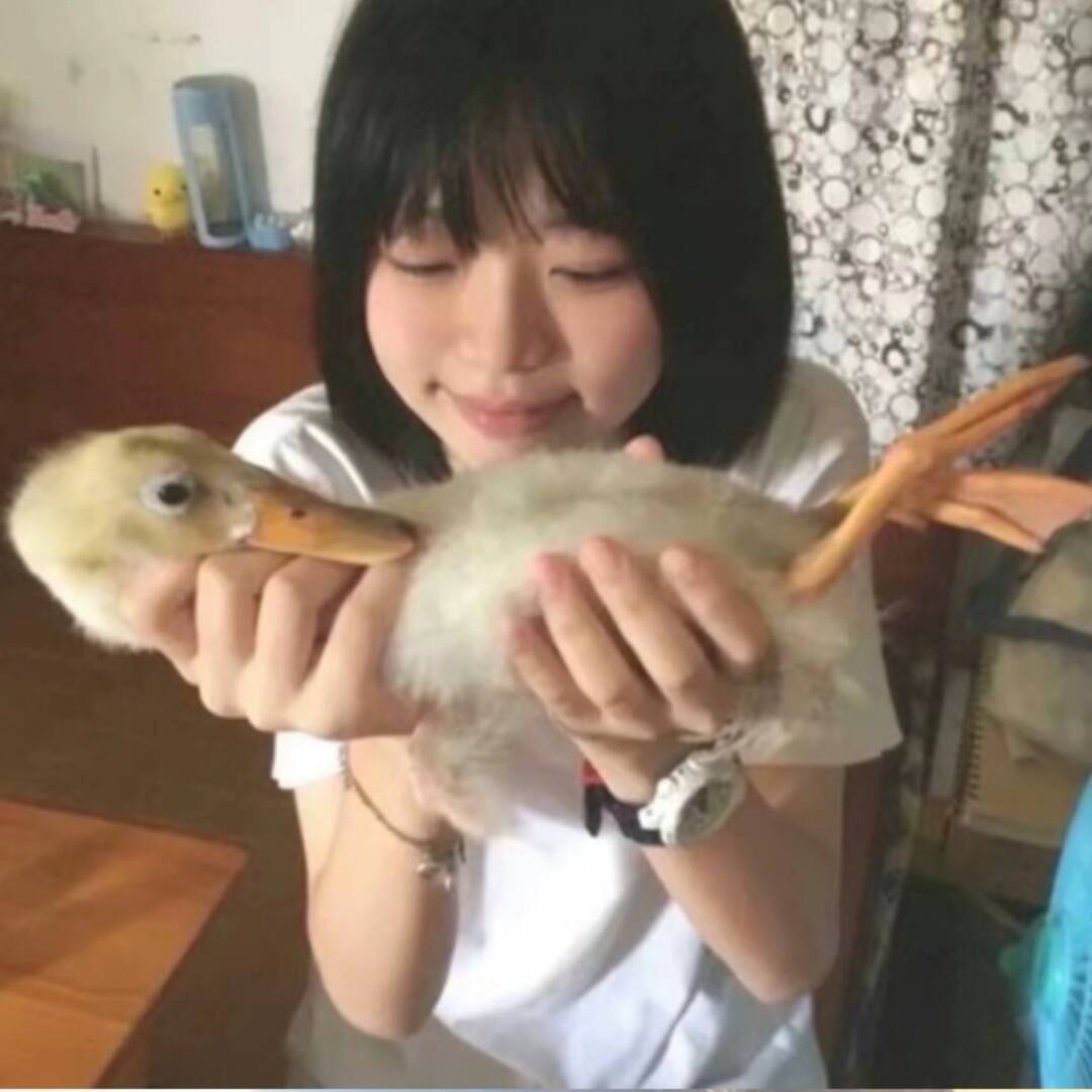 用户头像
