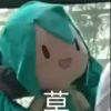 是小猹不是老猹-【TITAIKE】T太科网