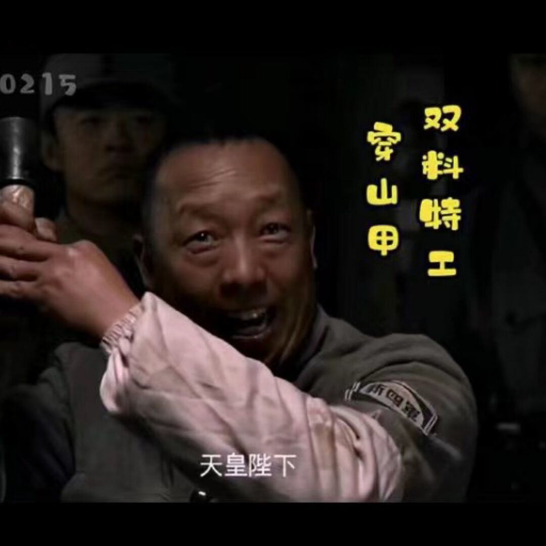 qq_间尊穿山甲56