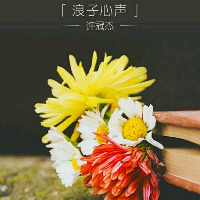 qq_超涵天荧火虫90