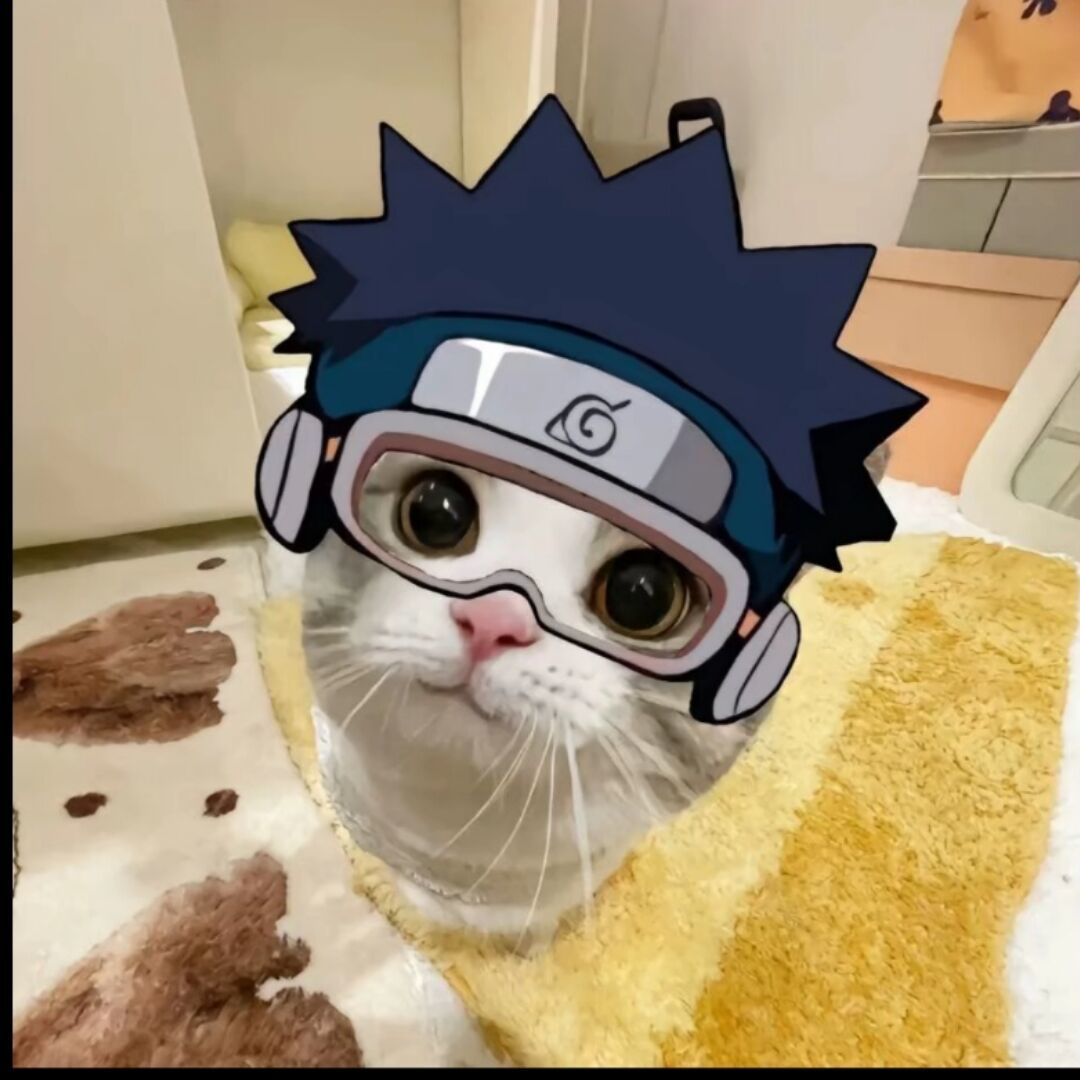 qq_너희가66