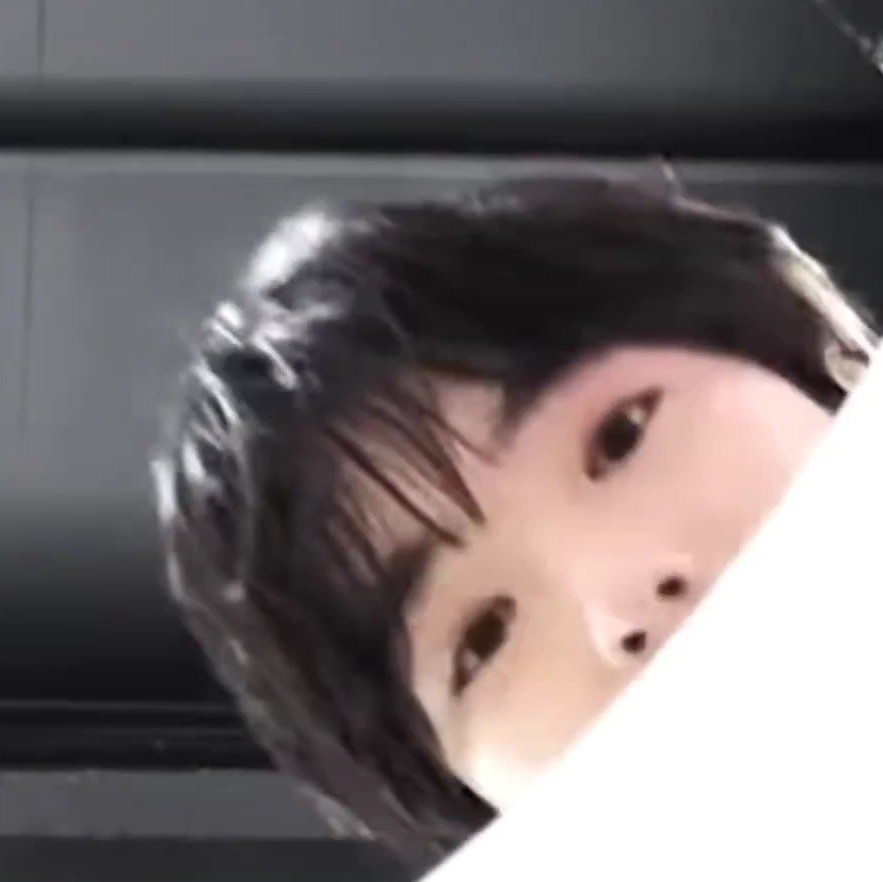 小狗宅
