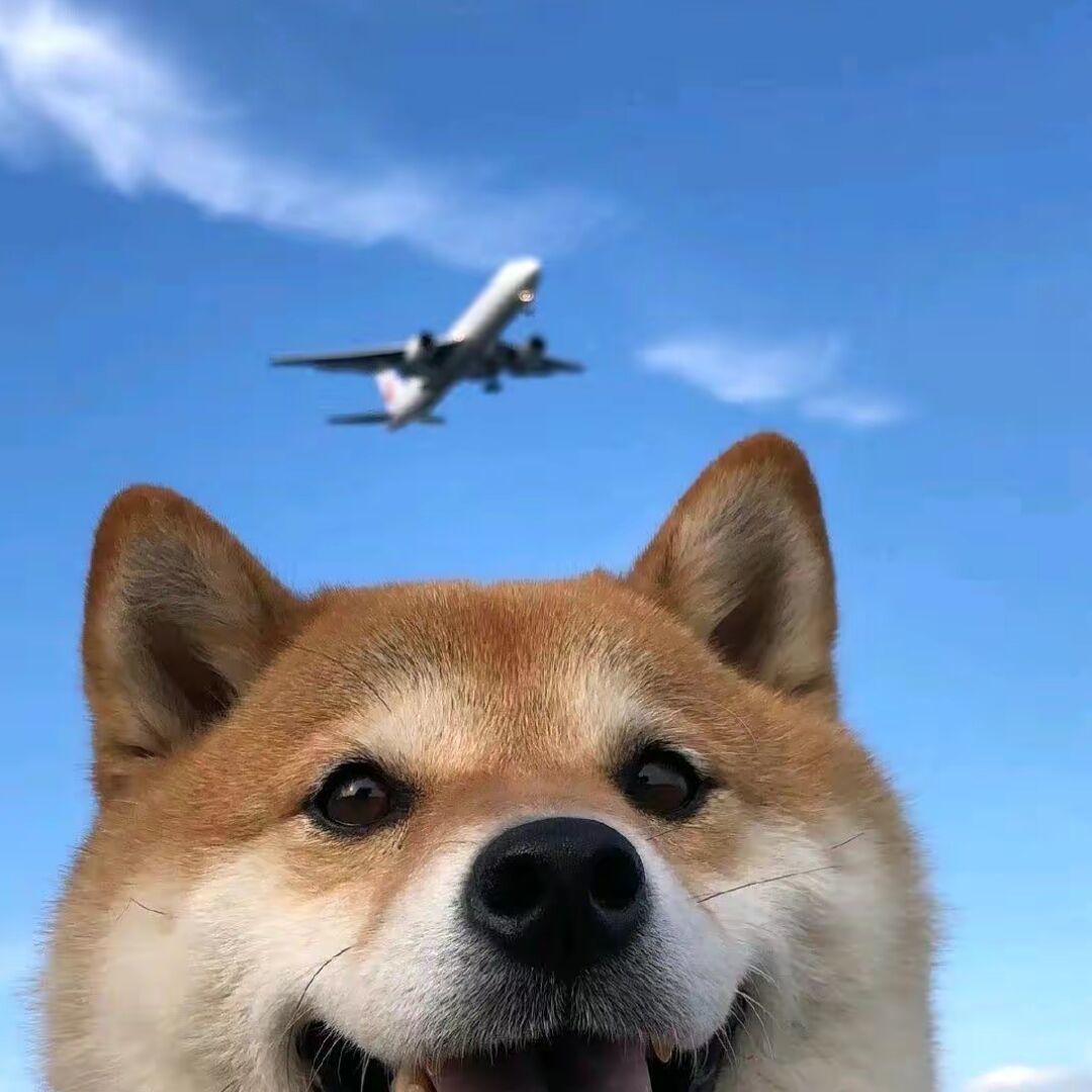 qq_许皓宇69