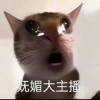 slbyb-【TITAIKE】T太科网
