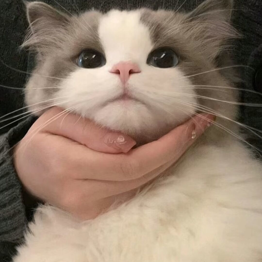 qq_그리움76