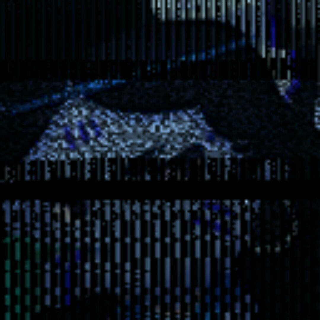 qq_弱善斓69